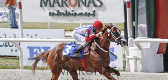 Hipódromo Nacional de Maroñas - Domingo 14 de Febrero