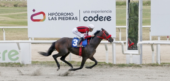 CLÁSICO CASINOS DEL ESTADO