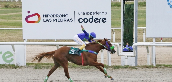 CLÁSICO PRODUCCIÓN NACIONAL