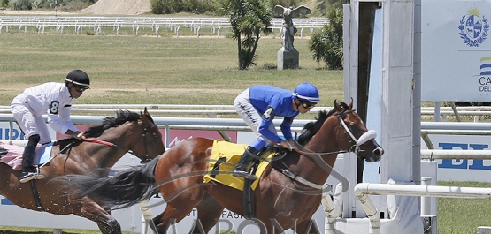 Domingo 28 de diciembre de 2025 - Hipódromo Nacional de Maroñas