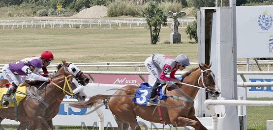 Viernes 3 de enero de 2026 - Hipódromo Nacional de Maroñas