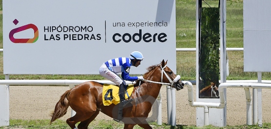 Viernes 16 de enero de 2026 - Hipódromo Las Piedras