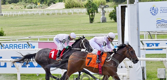 Domingo 18 de enero de 2026 - Hipódromo Nacional de Maroñas