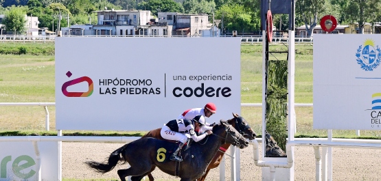 GRAN PREMIO POLLA DE POTRILLOS