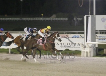 Sábado 31 de enero de 2026 HNM