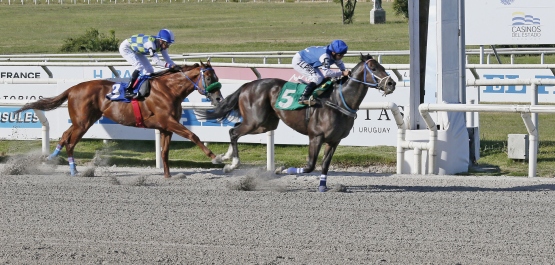 CLÁSICO FRANCISCO Y ALBERTO MILIA