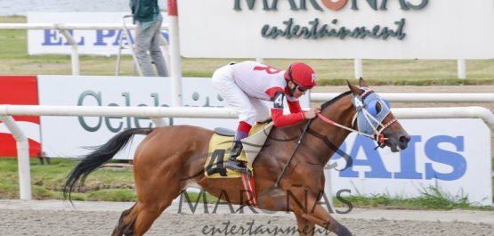 Hipódromo Nacional de Maroñas - Viernes 20 de Febrero