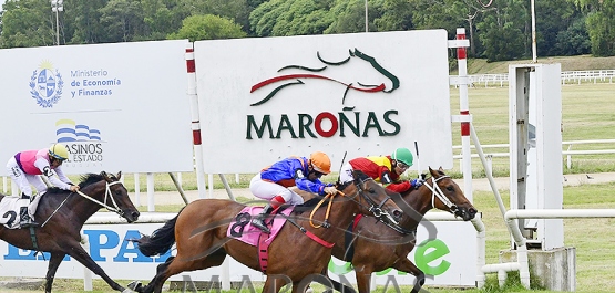 Domingo 15 de febrero de 2026 - Hipódromo Nacional de Maroñas