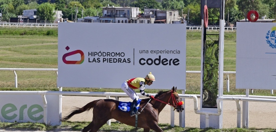 GRAN PREMIO SELECCIÓN