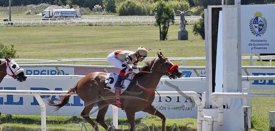 Domingo 1° de marzo de 2026 - Hipódromo Nacional de Maroñas