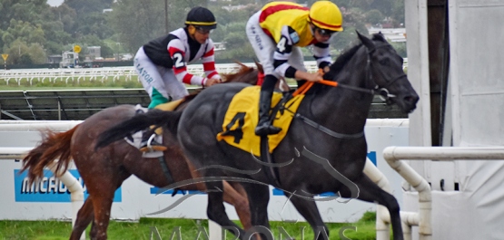 Viernes 6 de marzo de 2026 - Hipódromo Nacional de Maroñas