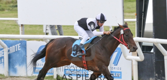 Hipódromo Las Piedras - Sábado 21 de Febrero de 2015