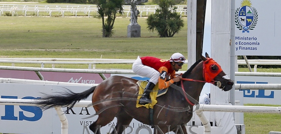 Domingo 15 de marzo de 2026 - Hipódromo Nacional de Maroñas
