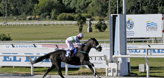 HANDICAP ESPECIAL KUMIS