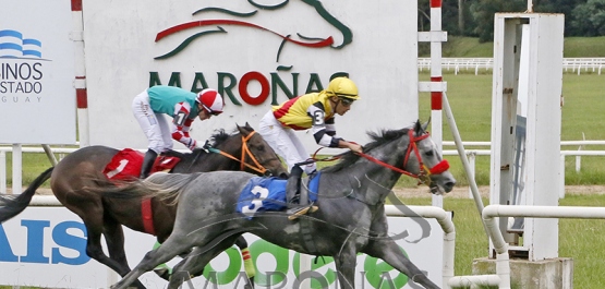 Domingo 5 de abril de 2026 - Hipódromo Nacional de Maroñas