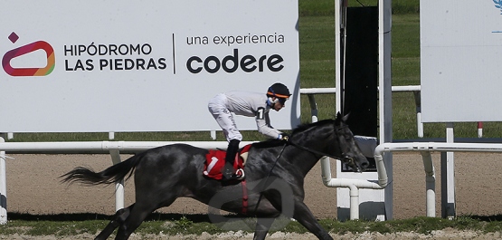 Viernes 10 de abril de 2026 - Hipódromo Las Piedras