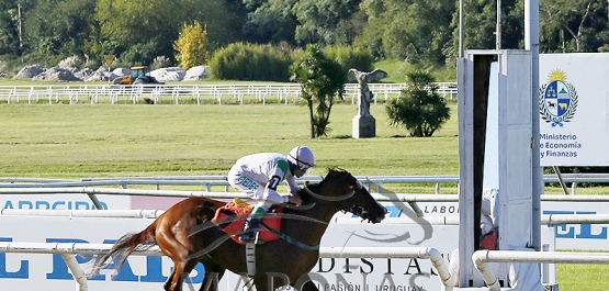 Sábado 19 de abril de 2026 - Hipódromo Nacional de Maroñas