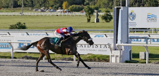 CLÁSICO GRAN BRETAÑA