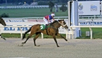 _I7V1860.JPG