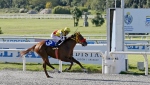 _I7V2210.JPG