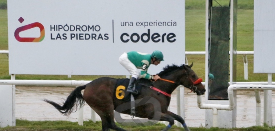 Viernes 8 de mayo de 2026 - Hipódromo Las Piedras