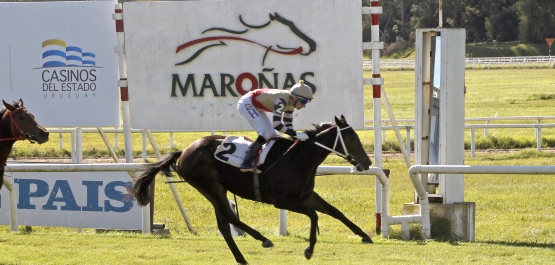 CLÁSICO PABLO PIACENZA MALDONADO