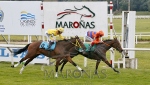 _I7V3466.JPG