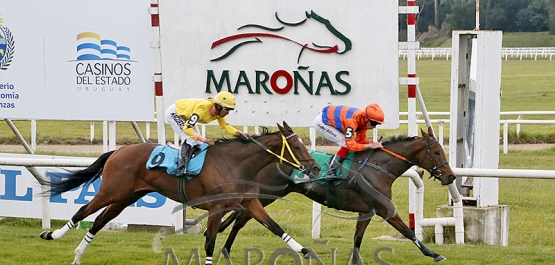 Sábado 16 de mayo de 2026 - Hipódromo Nacional de Maroñas