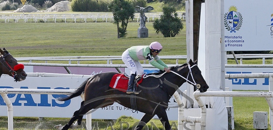 Domingo 17 de mayo de 2026 - Hipódromo Nacional de Maroñas