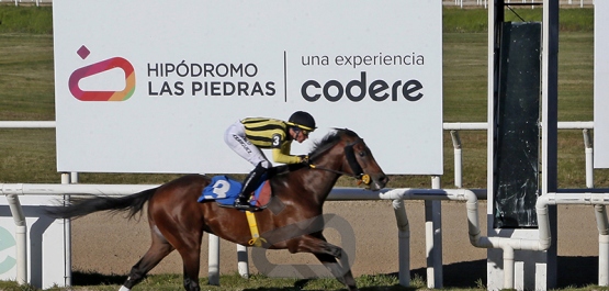 Lunes 18 de mayo de 2026 - Hipódromo Las Piedras