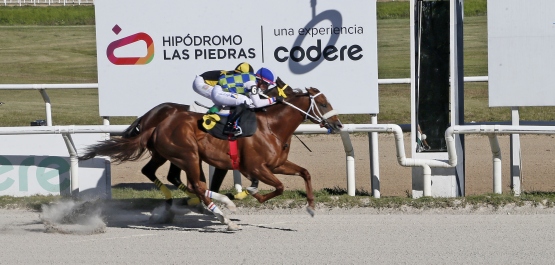 GRAN PREMIO UBALDO SERÉ