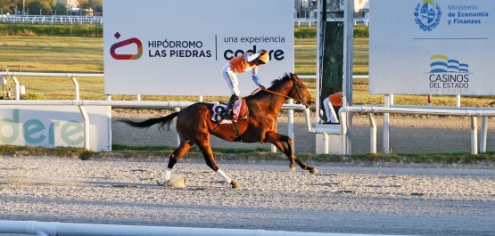GRAN PREMIO BATALLA DE LAS PIEDRAS