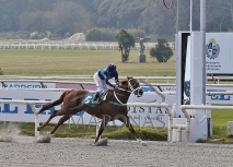 Domingo 31 de mayo de 2026 - Hipódromo Nacional de Maroñas