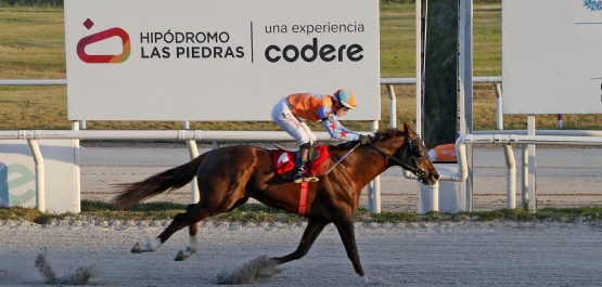 CLÁSICO CAMPEONES SPRINT HLP