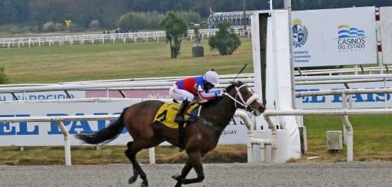 GRAN PREMIO GRAN CRITERIUM (POTRILLOS)