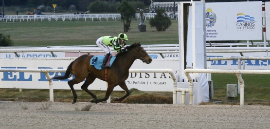 GRAN PREMIO CRITERIUM (POTRANCAS)