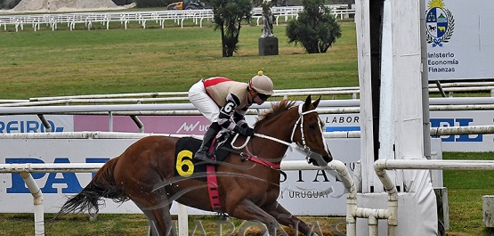 Domingo 19 de julio de 2026 - Hipódromo Nacional de Maroñas