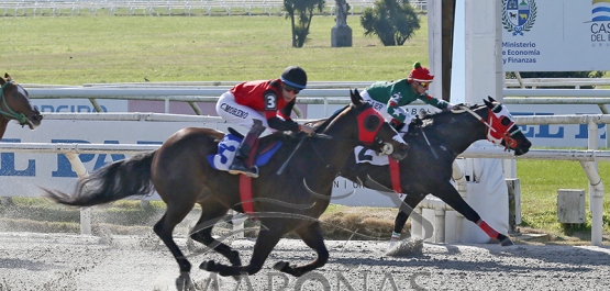 Domingo 26 de julio de 2026 - Hipódromo Nacional de Maroñas
