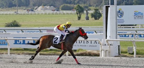 CLÁSICO ZELMAR MICHELINI