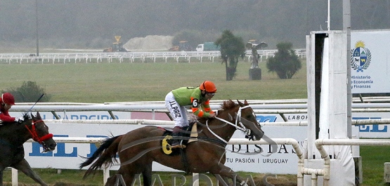 Sábado 1° de agosto de 2026 - Hipódromo Nacional de Maroñas
