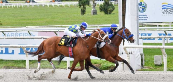 Domingo 18 de octubre de 2026 - Hipódromo Nacional de Maroñas