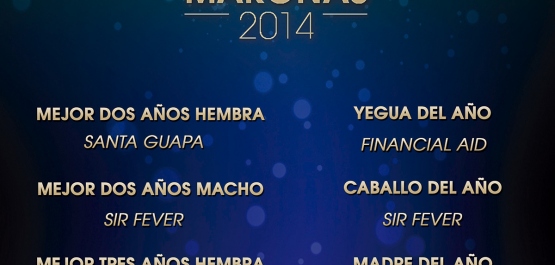 Ganadores Distinciones Maroñas