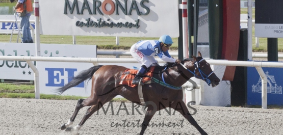 Hipódromo Nacional de Maroñas - Domingo 29 de Marzo de 2015