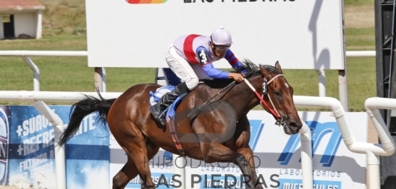 Hipódromo Las Piedras - Viernes 4 de Abril de 2015