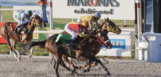 Clásico Haras del Uruguay - Potrancas