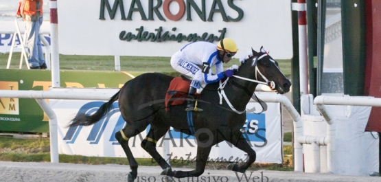 Clásico Haras del Uruguay - Potrillos