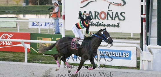 Hipódromo Nacional de Maroñas - Sábado 16 de Mayo de 2015