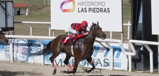 Gran Premio OSAF