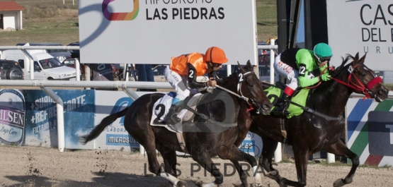 Gran Premio Ubaldo Seré