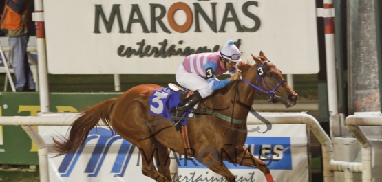 Hipódromo Nacional de Maroñas - Sábado 23 de Mayo de 2015